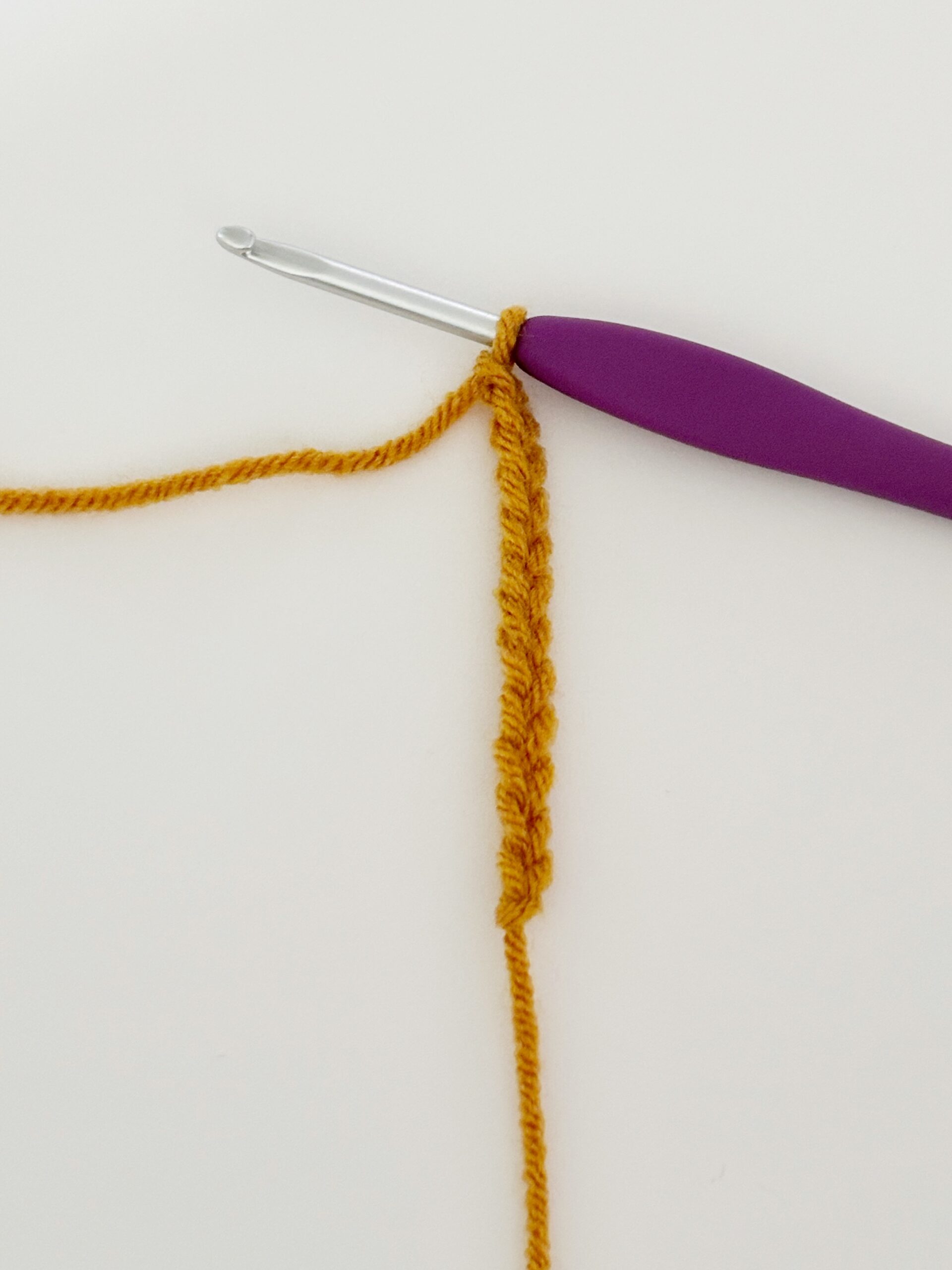 Working in an Oval Shape on the Other Side of the Chain for Amigurumi Foundation Chain